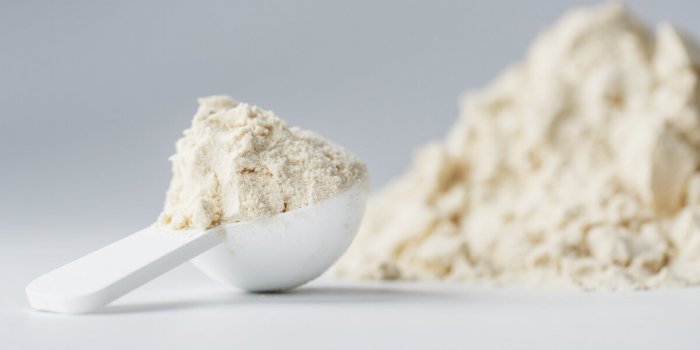 Protéines : comment augmenter son apport alimentaire facilement