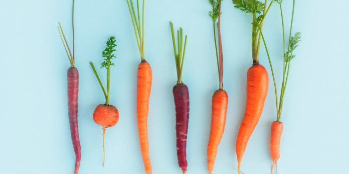 Les 20 meilleurs aliments anti-rides
