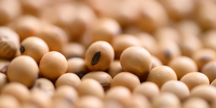 Cholestérol : 5 habitudes alimentaires pour le réduire