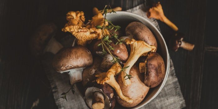 Champignons : 15 conseils pour Ã©viter lâintoxication