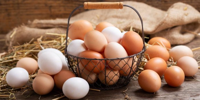 Obésité : devenir vegan booste la perte de poids et diminue la glycémie