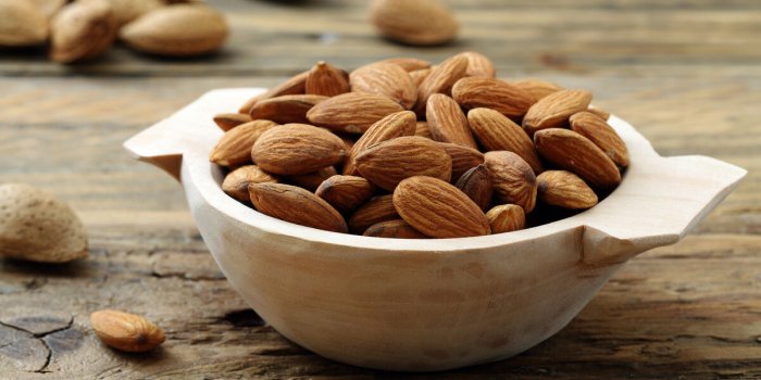 Quels aliments consommer pour remplacer les protéines animales ?