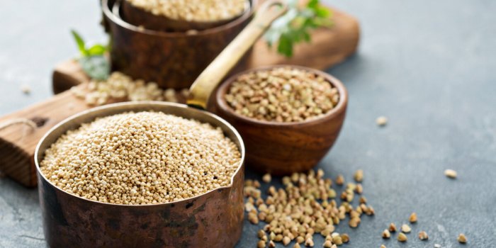 Quels aliments consommer pour remplacer les protéines animales ?