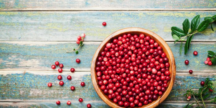 Les 15 aliments les plus riches en antioxydants