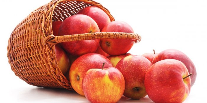 5 aliments riches en polyphénols pour prévenir l'inflammation