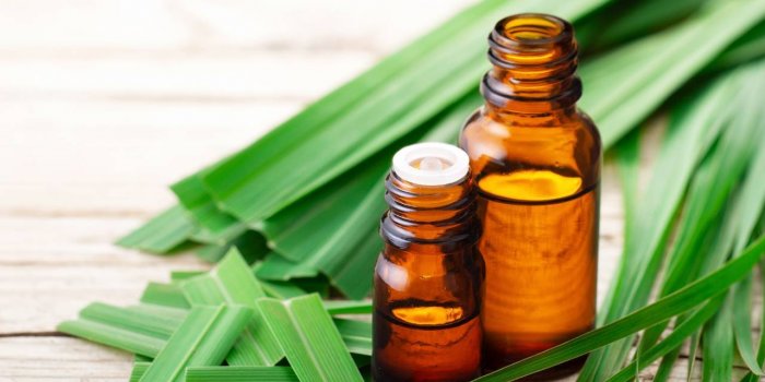 Foie : 5 huiles essentielles pour le stimuler 