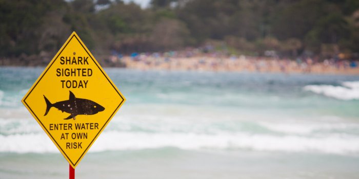 Baignade en mer : les risques infectieux à connaître avant de plonger