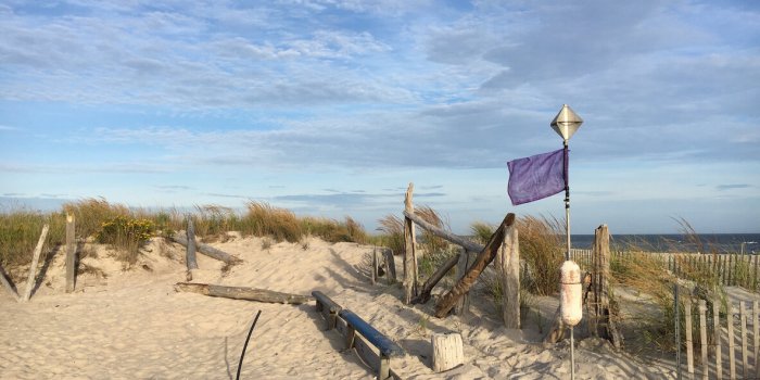 Baignade en mer : les risques infectieux à connaître avant de plonger