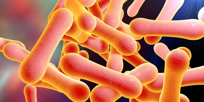 Alzheimer : 5 vaccins courants qui réduiraient les risques