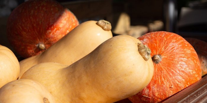 Régime : faut-il supprimer les aliments riches en lectine ?