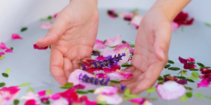DÃ©mangeaisons : 6 plantes anti-grattage (et une recette complÃ¨te bonus) !Â 