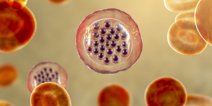 7 maladies qui ont les mêmes symptômes que la Covid-19
