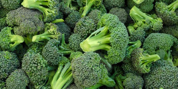 Les légumes crucifères, un allié naturel contre l'hypertension artérielle