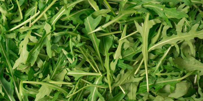Les légumes crucifères, un allié naturel contre l'hypertension artérielle