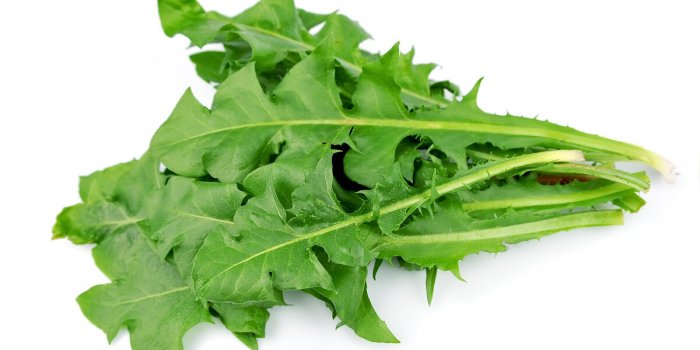 Prébiotiques : les 5 aliments les plus bénéfiques pour nos intestins