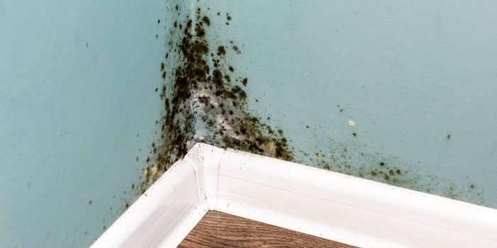 7 astuces d'une association pour prÃ©venir la pollution intÃ©rieure