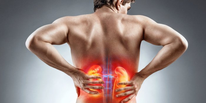 Acide urique : 6 éléments qui peuvent expliquer un taux trop élevé