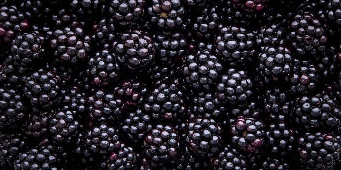 Fragilité : 5 aliments pour réduire les risques