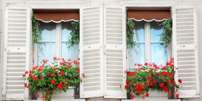 Comment rafraÃ®chir son logement avec des plantes extÃ©rieures en pÃ©riode de canicule ?