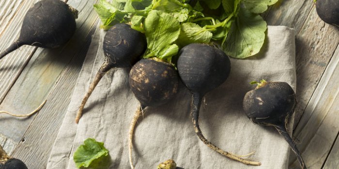 Cellulite : les 15 aliments à favoriser pour bannir lâeffet âpeau dâorangeâ