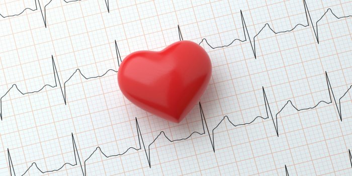 Les 7 bienfaits santé de la ciboulette