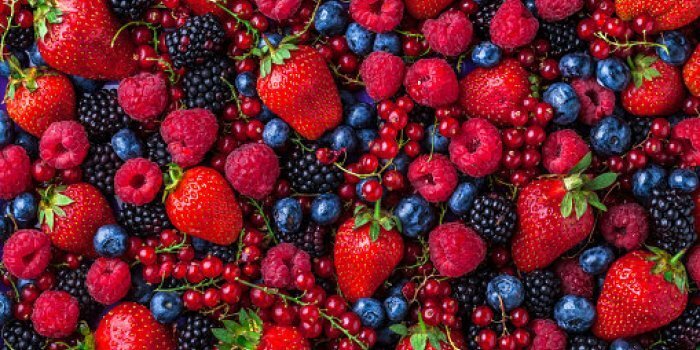 Alzheimer : les aliments riches en fibres peuvent réduire le déclin cognitif