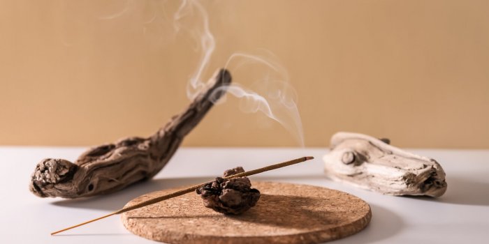 Sept ingrédients de la cuisine pour éloigner les guêpes et frelons cet été