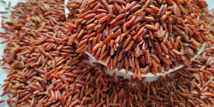Les meilleures marques de riz, selon 60 millions de consommateurs