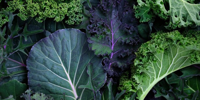 7 aliments qui améliorent la santé de vos yeux
