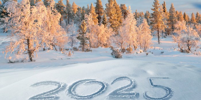Objectif de l'année 2025, ne plus se laisser submerger