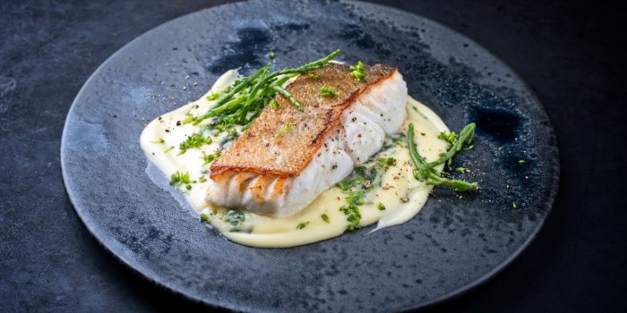 Mercure : les 6 poissons qui en contiennent le plus 