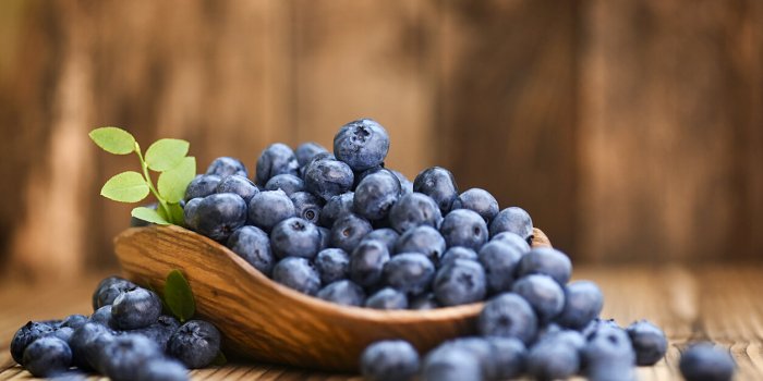 7 aliments à privilégier au petit déj si vous souffrez des articulations