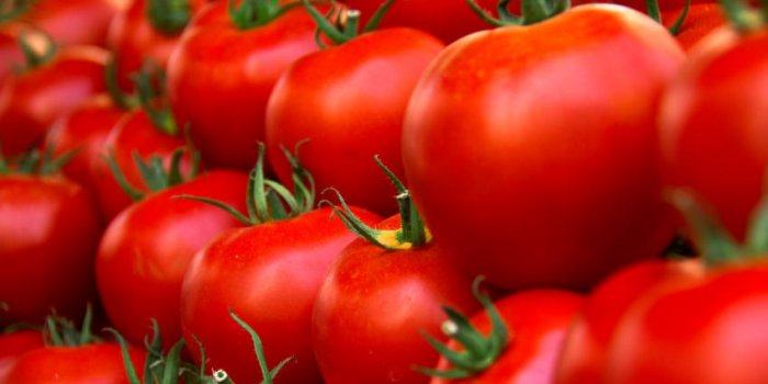 6 aliments qu'il faut bien faire cuire