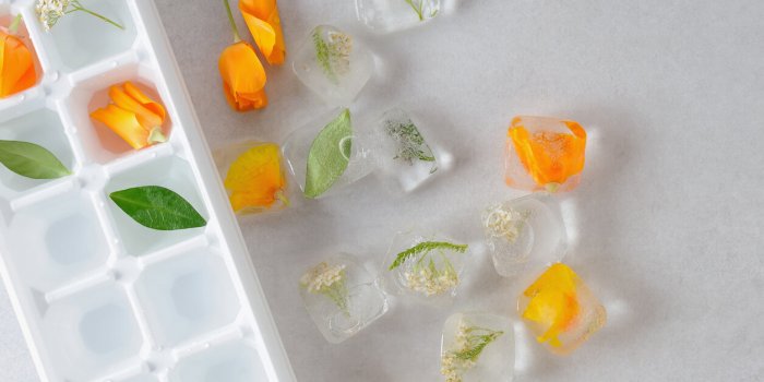 7 astuces cuisine minceur et forme que lâon pique à Meghan Markle