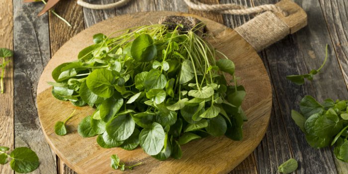 Infections pulmonaires : 5 légumes qui apaisent la toux, selon la science