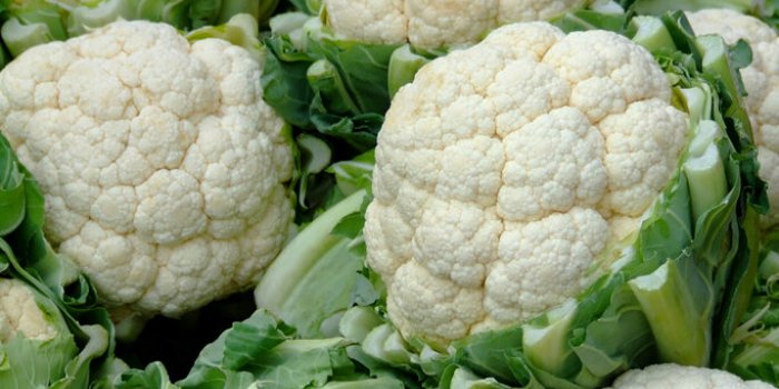 Infections pulmonaires : 5 légumes qui apaisent la toux, selon la science