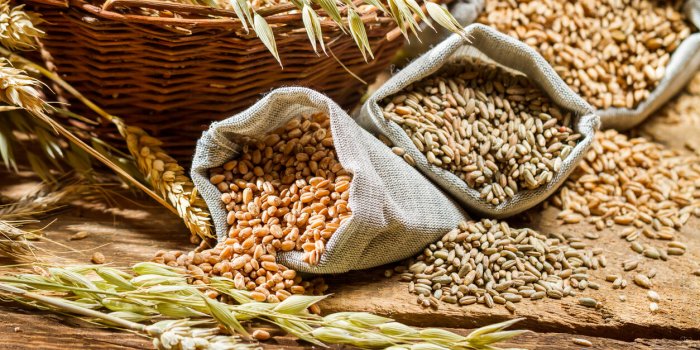 Quels aliments pour préserver la flore vaginale ?