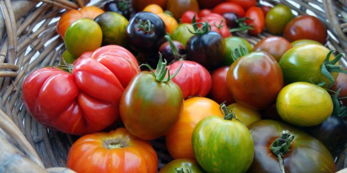 Salades : 12 aliments healthy pour les composer