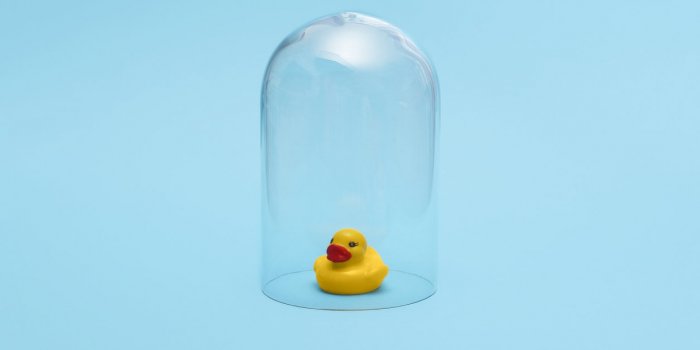 BactÃ©ries : les pires objets de la salle de bain selon un infectiologue 