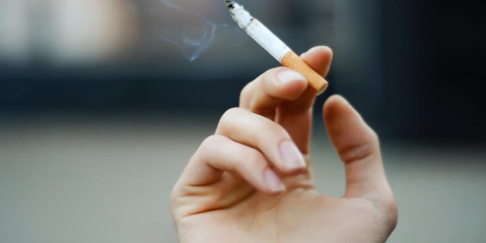 Cancer de l'estomac : quels sont les facteurs de risque Ã©vitables ?