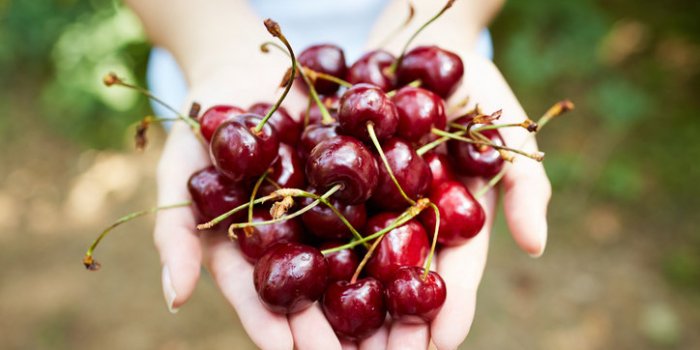 Pesticides : le top 15 des fruits et légumes les plus contaminés