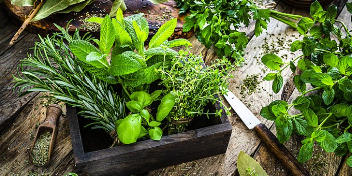 Pesticides : le top 15 des fruits et légumes les plus contaminés