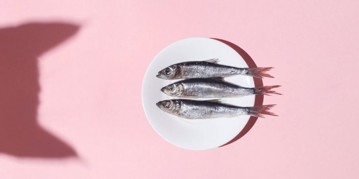 Les 20 meilleurs aliments anti-rides