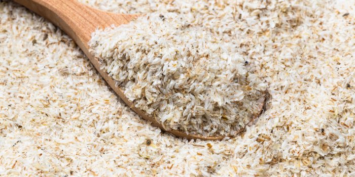wooden spoon with psyllium husk close up on pile of sugar