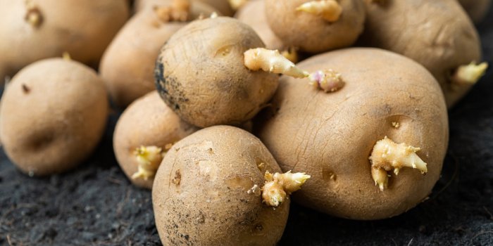 13 aliments dangereux que vous avez dans votre cuisine