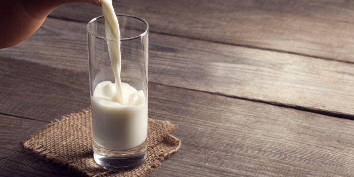 Ces 7 prébiotiques sont bons pour la santé mentale