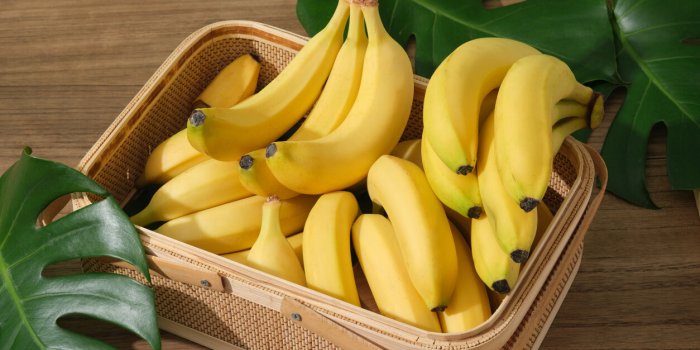 Ces 7 prébiotiques sont bons pour la santé mentale