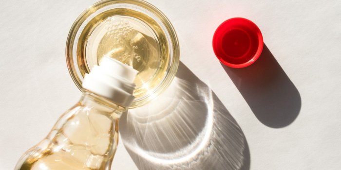 5 odeurs qui font fuir les moustiques