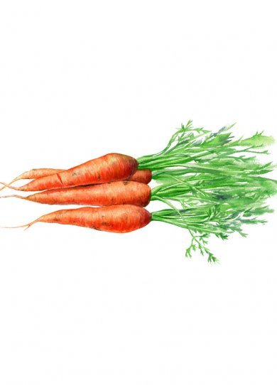 Cholestérol, tension... 15 aliments à manger au dîner pour protéger votre cÅur