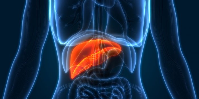 7 cancers difficiles Ã  repÃ©rer Ã  un stade prÃ©coce